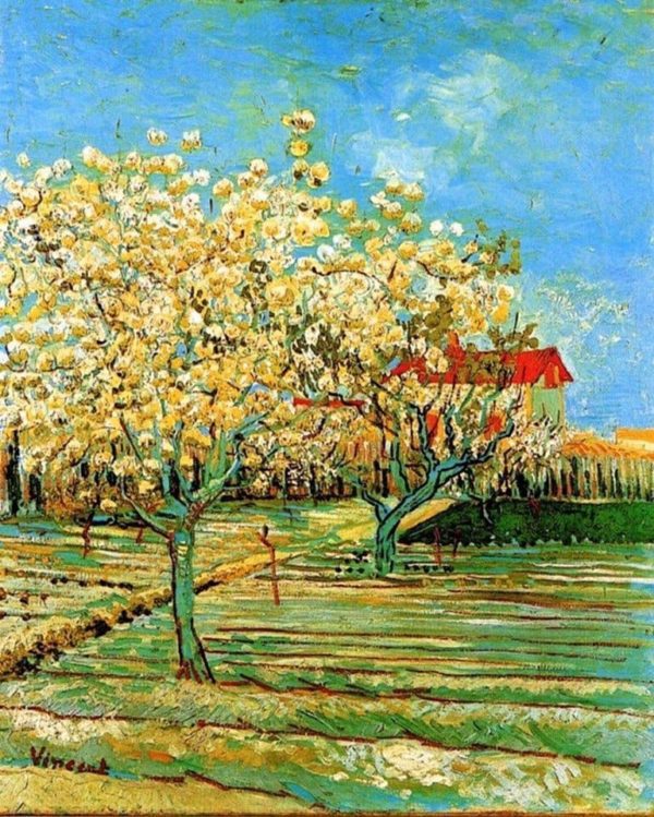 Photo of Orchard in Blossom (Plum Trees) painting